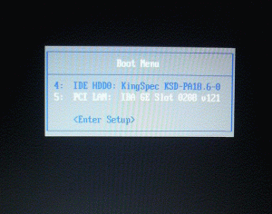bios 1